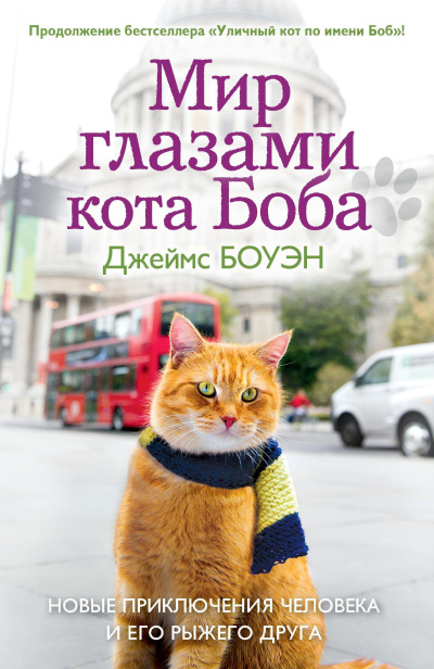 Слушайте бесплатные аудиокниги на русском языке | Audiobukva.com Боуэн Джеймс – Мир глазами кота Боба