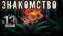 Слушайте бесплатные аудиокниги на русском языке | Audiobukva.com Константинов Алексей – Знакомство