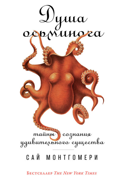 Слушайте бесплатные аудиокниги на русском языке | Audiobukva.com Монтгомери Сай – Душа осьминога: Тайны сознания удивительного существа