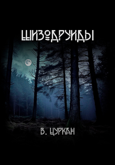 Слушайте бесплатные аудиокниги на русском языке | Audiobukva.com Цуркан Валерий – Шизодруиды