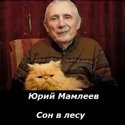 Слушайте бесплатные аудиокниги на русском языке | Audiobukva.com Мамлеев Юрий – Сон в лесу