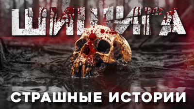 Слушайте бесплатные аудиокниги на русском языке | Audiobukva.com Лихачёва Юлия – Шишига