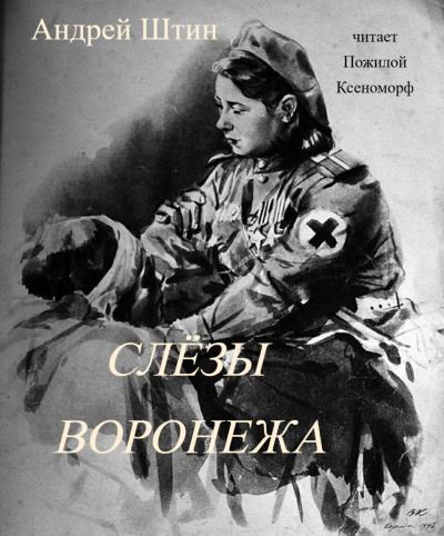 Слушайте бесплатные аудиокниги на русском языке | Audiobukva.com Андрей Штин – Слёзы Воронежа