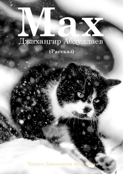 Слушайте бесплатные аудиокниги на русском языке | Audiobukva.com Абдуллаев Джахангир – Макс