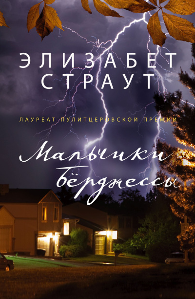 Слушайте бесплатные аудиокниги на русском языке | Audiobukva.com Страут Элизабет – Мальчики Берджессы