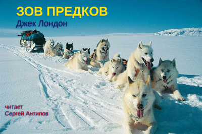 Слушайте бесплатные аудиокниги на русском языке | Audiobukva.com Лондон Джек - Зов предков