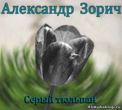Слушайте бесплатные аудиокниги на русском языке | Audiobukva.com Зорич Александр - Серый тюльпан