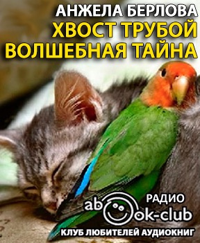 Слушайте бесплатные аудиокниги на русском языке | Audiobukva.com Берлова Анжела - Хвост трубой. Волшебная тайна