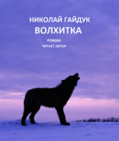 Слушайте бесплатные аудиокниги на русском языке | Audiobukva.com Гайдук Николай - Волхитка
