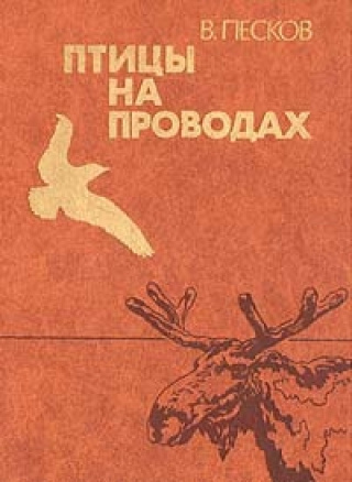 Слушайте бесплатные аудиокниги на русском языке | Audiobukva.com Песков Василий - Птицы на проводах