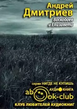 Слушайте бесплатные аудиокниги на русском языке | Audiobukva.com Дмитриев Андрей - Воскобоев и Елизавета