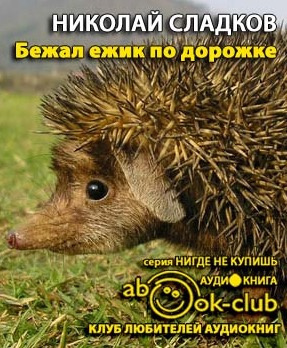 Слушайте бесплатные аудиокниги на русском языке | Audiobukva.com Сладков Николай - Бежал ежик по дорожке