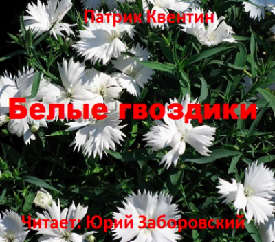 Слушайте бесплатные аудиокниги на русском языке | Audiobukva.com Квентин Патрик - Белые гвоздики