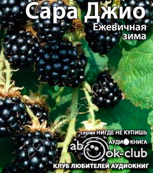 Слушайте бесплатные аудиокниги на русском языке | Audiobukva.com Джио Сара - Ежевичная зима