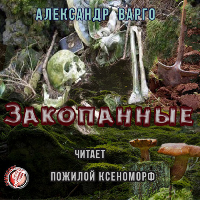 Слушайте бесплатные аудиокниги на русском языке | Audiobukva.com Варго Александр - Закопанные