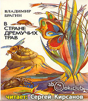 Слушайте бесплатные аудиокниги на русском языке | Audiobukva.com Брагин Владимир - В стране дремучих трав