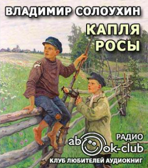 Слушайте бесплатные аудиокниги на русском языке | Audiobukva.com Солоухин Владимир - Капля росы