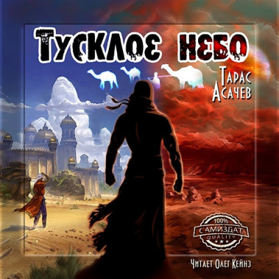 Слушайте бесплатные аудиокниги на русском языке | Audiobukva.com Тарас Асачёв - Тусклое небо