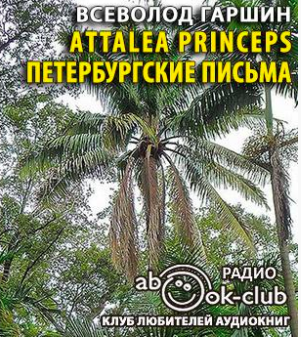 Слушайте бесплатные аудиокниги на русском языке | Audiobukva.com Гаршин Всеволод - Аttalea princeps. Петербургские письма