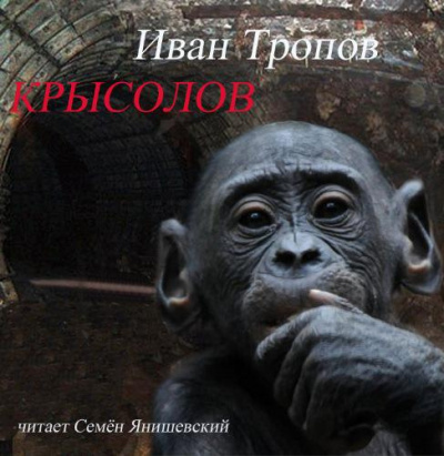 Слушайте бесплатные аудиокниги на русском языке | Audiobukva.com Тропов Иван - Крысолов