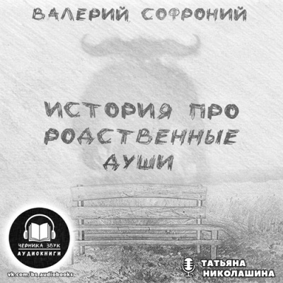 Слушайте бесплатные аудиокниги на русском языке | Audiobukva.com Софроний Валерий - История про родственные души