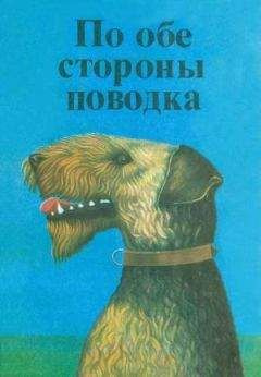 Слушайте бесплатные аудиокниги на русском языке | Audiobukva.com Сетон-Томпсон Эрнест - Снап. История бультерьера