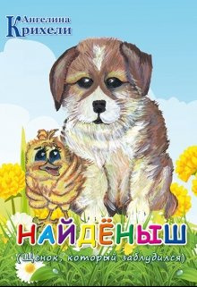 Слушайте бесплатные аудиокниги на русском языке | Audiobukva.com Крихели Ангелина - Найденыш. Щенок, который заблудился