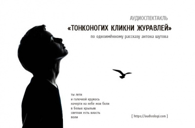 Слушайте бесплатные аудиокниги на русском языке | Audiobukva.com Шутов Антон - Тонконогих кликни журавлей