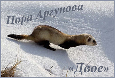 Слушайте бесплатные аудиокниги на русском языке | Audiobukva.com Аргунова Нора - Двое