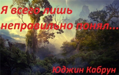 Слушайте бесплатные аудиокниги на русском языке | Audiobukva.com Кабрун Юджин - Я всего лишь неправильно понял...