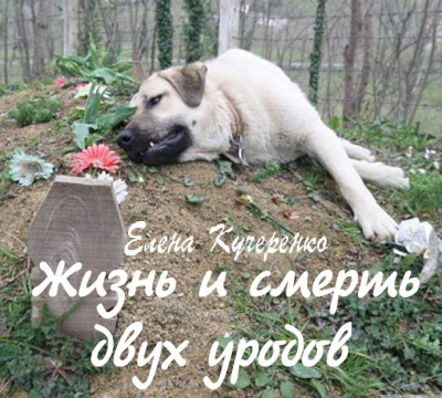 Слушайте бесплатные аудиокниги на русском языке | Audiobukva.com Кучеренко Елена - Жизнь и смерть двух уродов