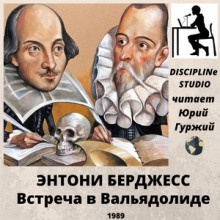 Слушайте бесплатные аудиокниги на русском языке | Audiobukva.com Бёрджесс Энтони - Встреча в Вальядолиде