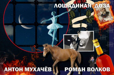 Слушайте бесплатные аудиокниги на русском языке | Audiobukva.com Мухачев Антон - Лошадиная доза