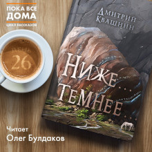 Слушайте бесплатные аудиокниги на русском языке | Audiobukva.com Квашнин Дмитрий - Ниже... темнее...