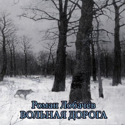 Слушайте бесплатные аудиокниги на русском языке | Audiobukva.com Лобачёв Роман - Вольная дорога