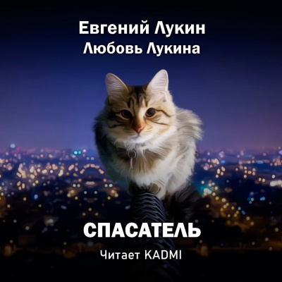 Слушайте бесплатные аудиокниги на русском языке | Audiobukva.com Лукин Евгений, Лукина Любовь - Спасатель