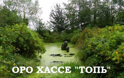 Слушайте бесплатные аудиокниги на русском языке | Audiobukva.com Оро Хассе - Топь