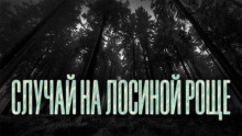 Слушайте бесплатные аудиокниги на русском языке | Audiobukva.com Новгородов Олег - Случай на Лосиной Роще