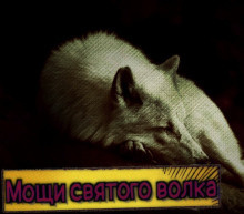 Слушайте бесплатные аудиокниги на русском языке | Audiobukva.com Немец Евгений - Мощи святого волка