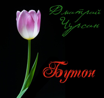 Слушайте бесплатные аудиокниги на русском языке | Audiobukva.com Чурсин Дмитрий - Бутон