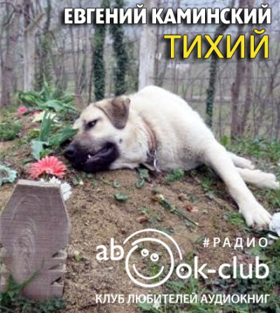 Слушайте бесплатные аудиокниги на русском языке | Audiobukva.com Каминский Евгений - Тихий