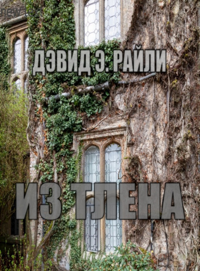 Слушайте бесплатные аудиокниги на русском языке | Audiobukva.com Райли Дэвид - Из тлена