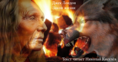 Слушайте бесплатные аудиокниги на русском языке | Audiobukva.com Джек Лондон - Закон жизни