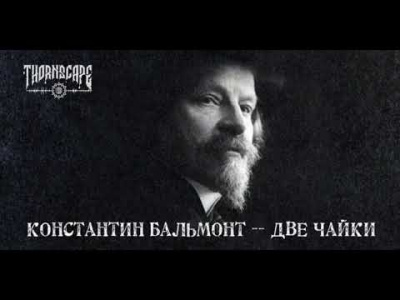 Слушайте бесплатные аудиокниги на русском языке | Audiobukva.com Бальмонт Константин - Две чайки