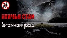 Слушайте бесплатные аудиокниги на русском языке | Audiobukva.com Чёрный Роман - Птичьи стаи