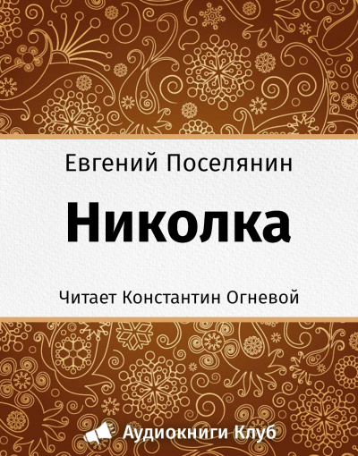 Слушайте бесплатные аудиокниги на русском языке | Audiobukva.com Поселянин Евгений - Николка