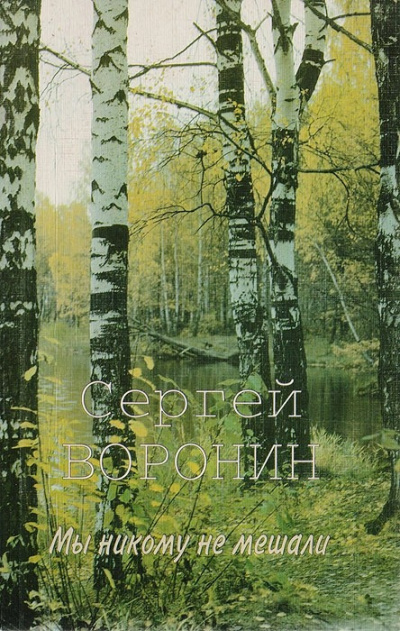 Слушайте бесплатные аудиокниги на русском языке | Audiobukva.com Воронин Сергей - Мы никому не мешали
