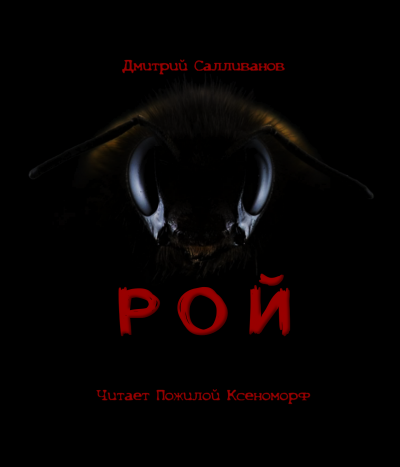 Слушайте бесплатные аудиокниги на русском языке | Audiobukva.com Салливанов Дмитрий - Рой