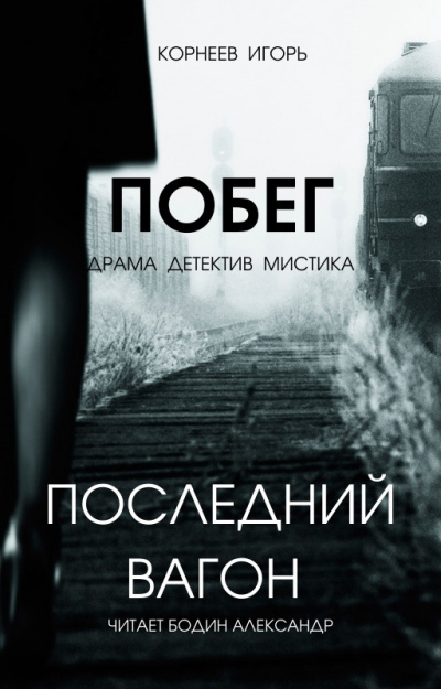 Слушайте бесплатные аудиокниги на русском языке | Audiobukva.com Корнеев Игорь - Последний вагон. Побег