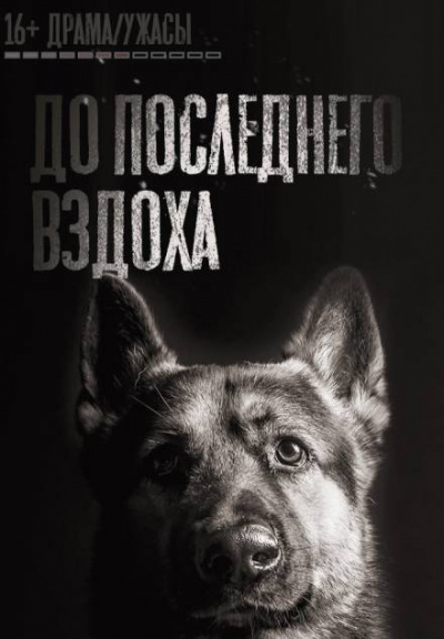 Слушайте бесплатные аудиокниги на русском языке | Audiobukva.com Кривенцов Феликс - До последнего вздоха